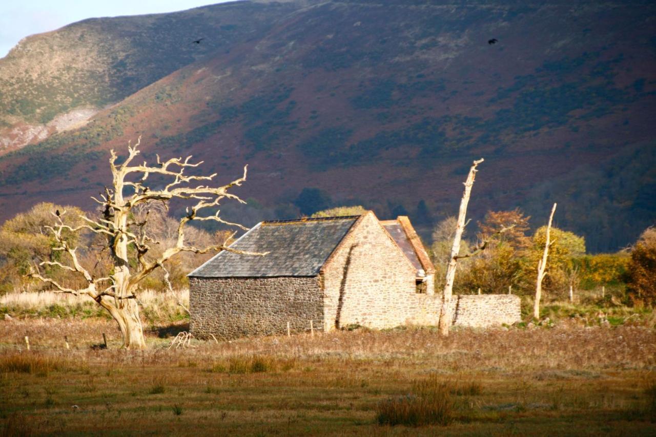 Bed & Breakfast The 4*